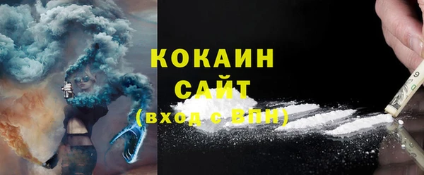 твердый Михайлов