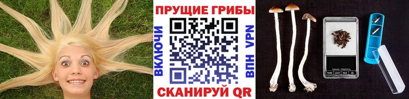 ссылка на мегу ССЫЛКА  Суровикино  Псилоцибиновые грибы GOLDEN TEACHER 
